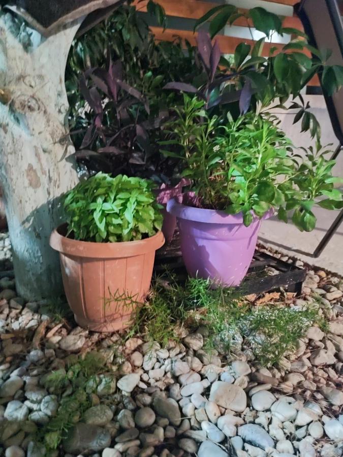 Katerina'S Apartment Cozy And Comfortable Place Nafplio Exterior photo